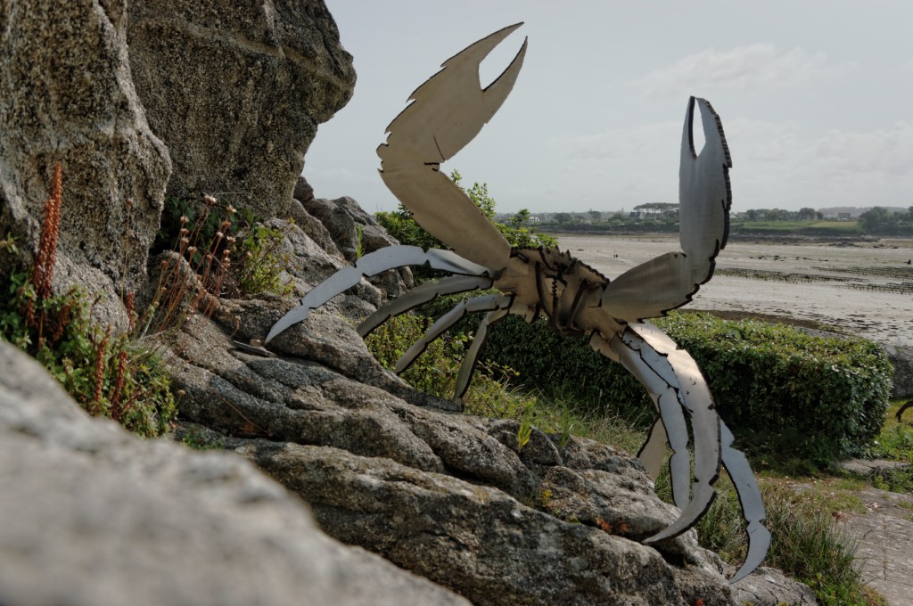 l'île Wrac'h, Lilia, Plouguerneau, finistère, bretagne, Jérome Durant, crabes métal