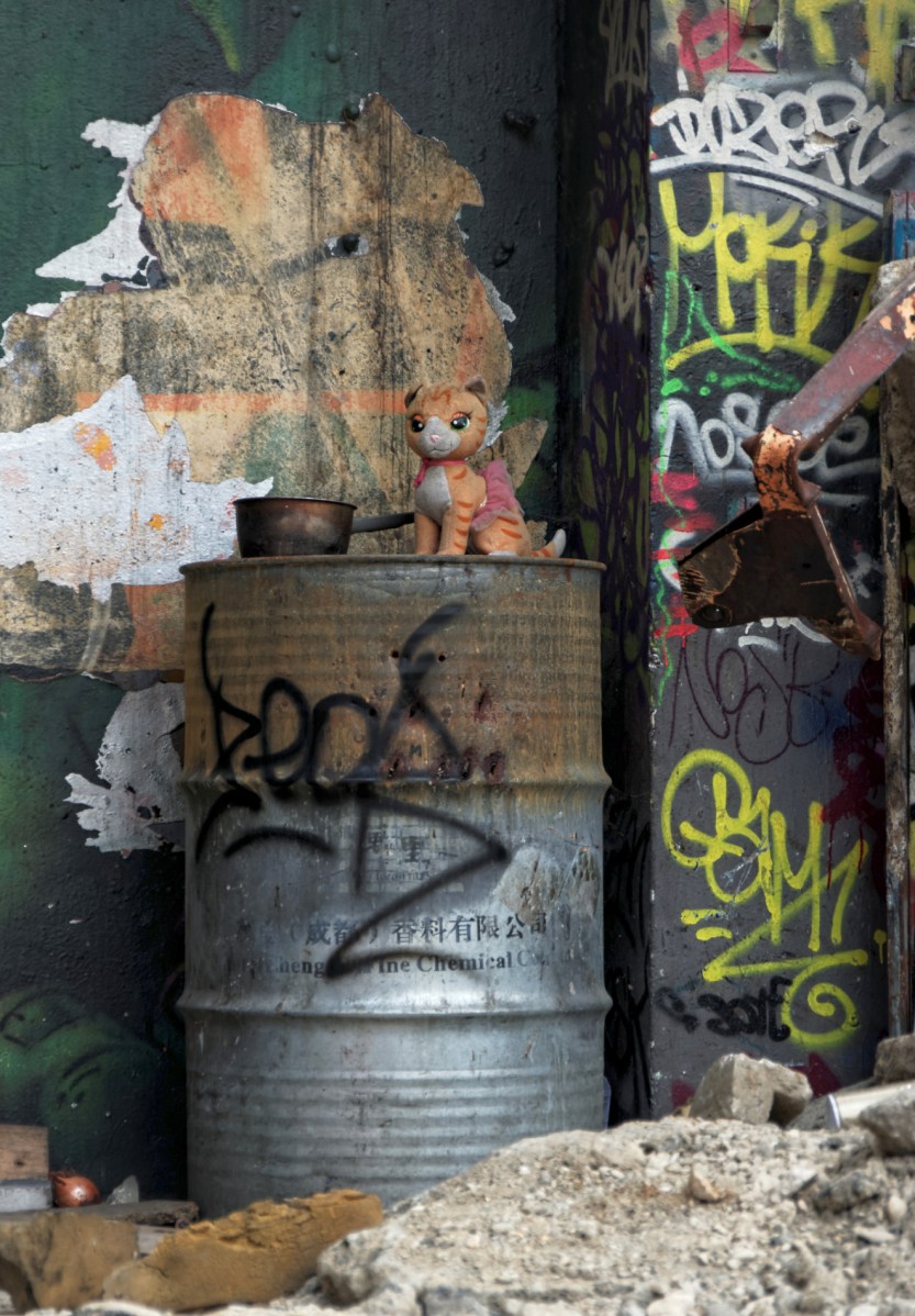 graffitis, félins, urbex, exploration urbaine, fresque savane graffitis, félins, urbex, exploration urbaine, fresque savane