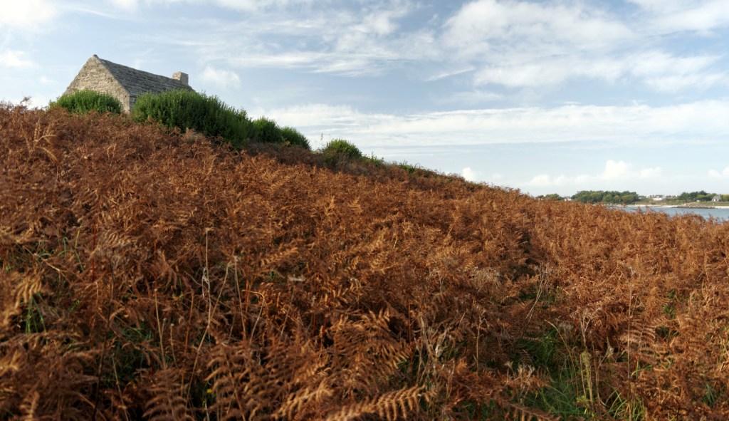 corps de garde à Guissény, baie de Guissény, Guissény sur mer, bretagne, finistère, fougères à l'automne