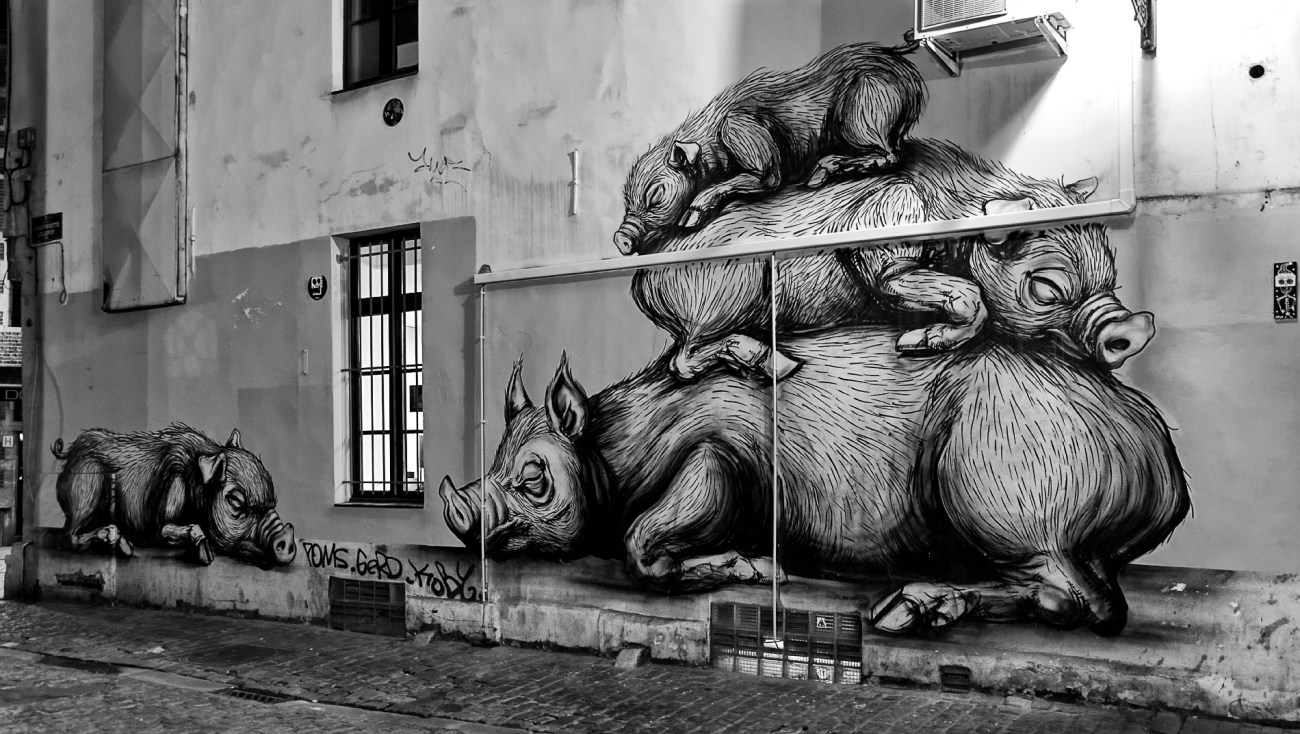 street art, Roa, cochons, dessins, Belgique, Bruxelles 
