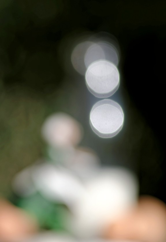 porcelaine froide, figurine en porcelaine froide, Bécassine en porcelaine froide, nature morte