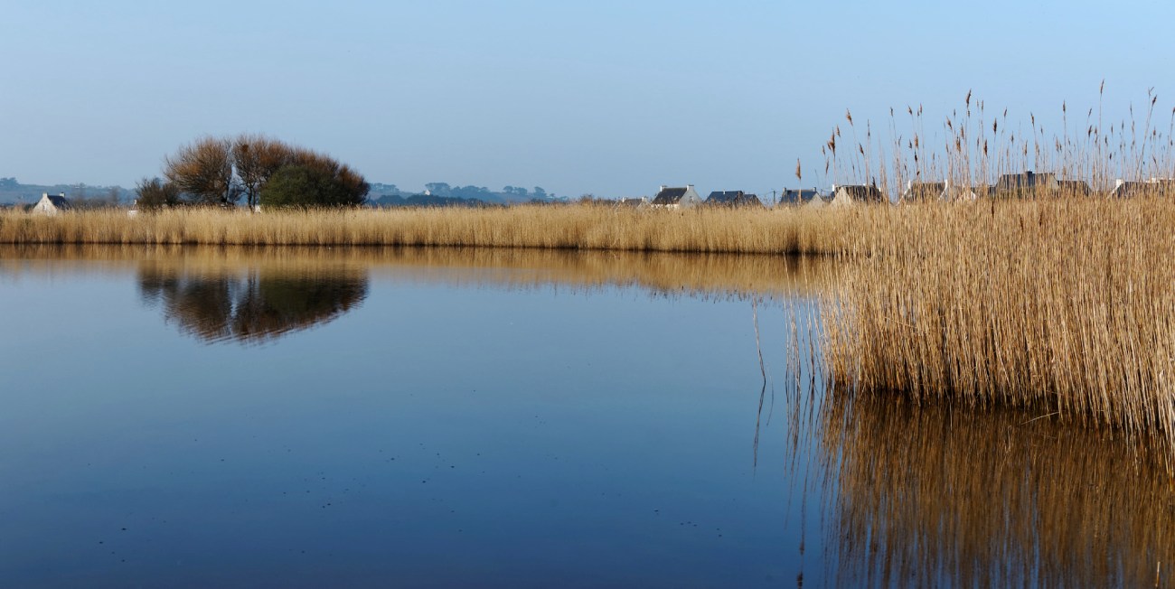 étang du Curnic, Guissény, bretagne, finistère