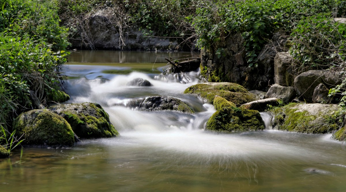 le Guillec, ruisseau, pose longue, Plougoulm, finistère, bretagne, 