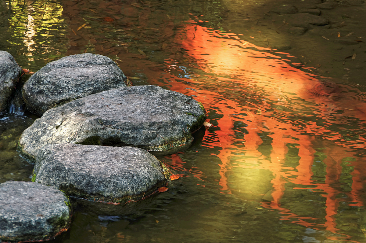 pont chinois, pas chinois, reflets, jardin asiatique, zénitude