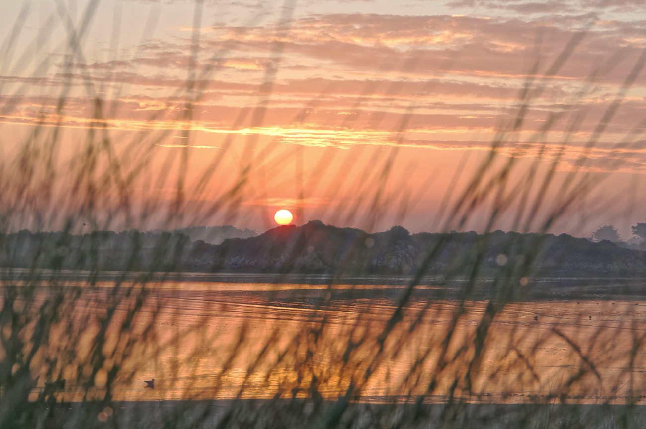 lever de soleil, lever de soleil à Guissény, baie de Guissény, Guissény, Bretagne, Finistère 