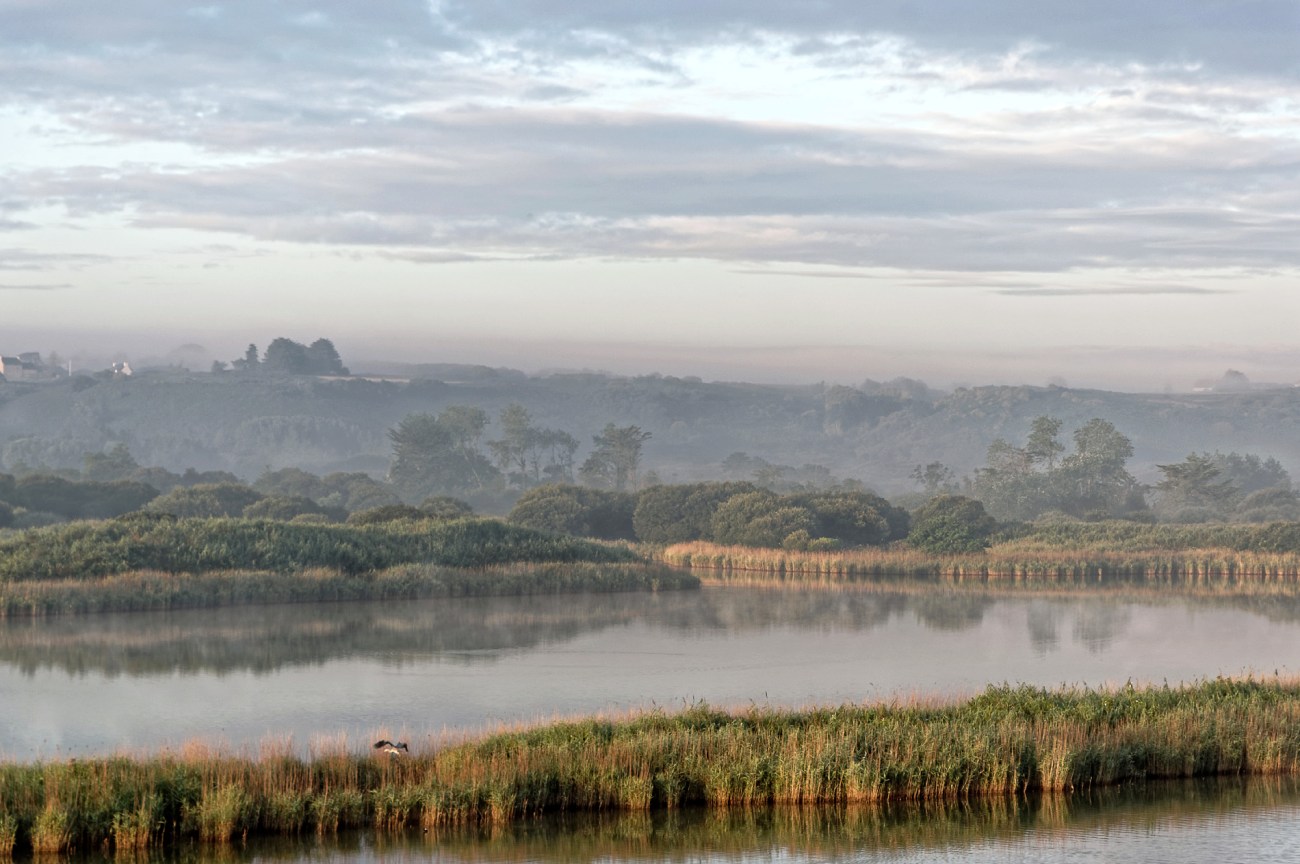 étang du Curnic, Curnic, Guissény, brume matinale, finistère, bretagne