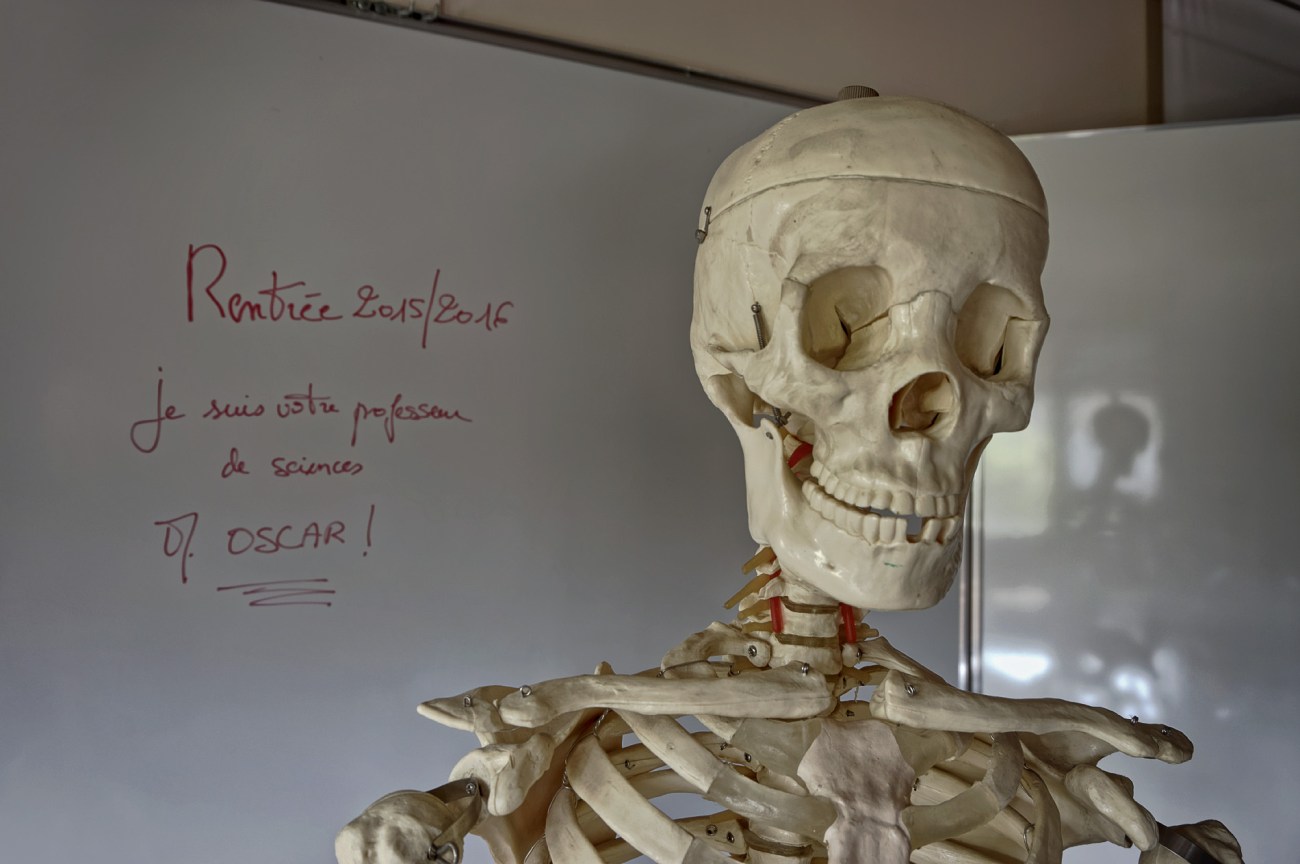 oscar maître du monde de Prévert sinistre 3, squetlette, rentrée scolaire, rentrée 2015