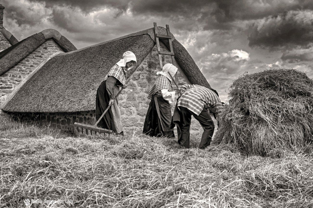 ménéham 300 ans d'histoire foin N&B