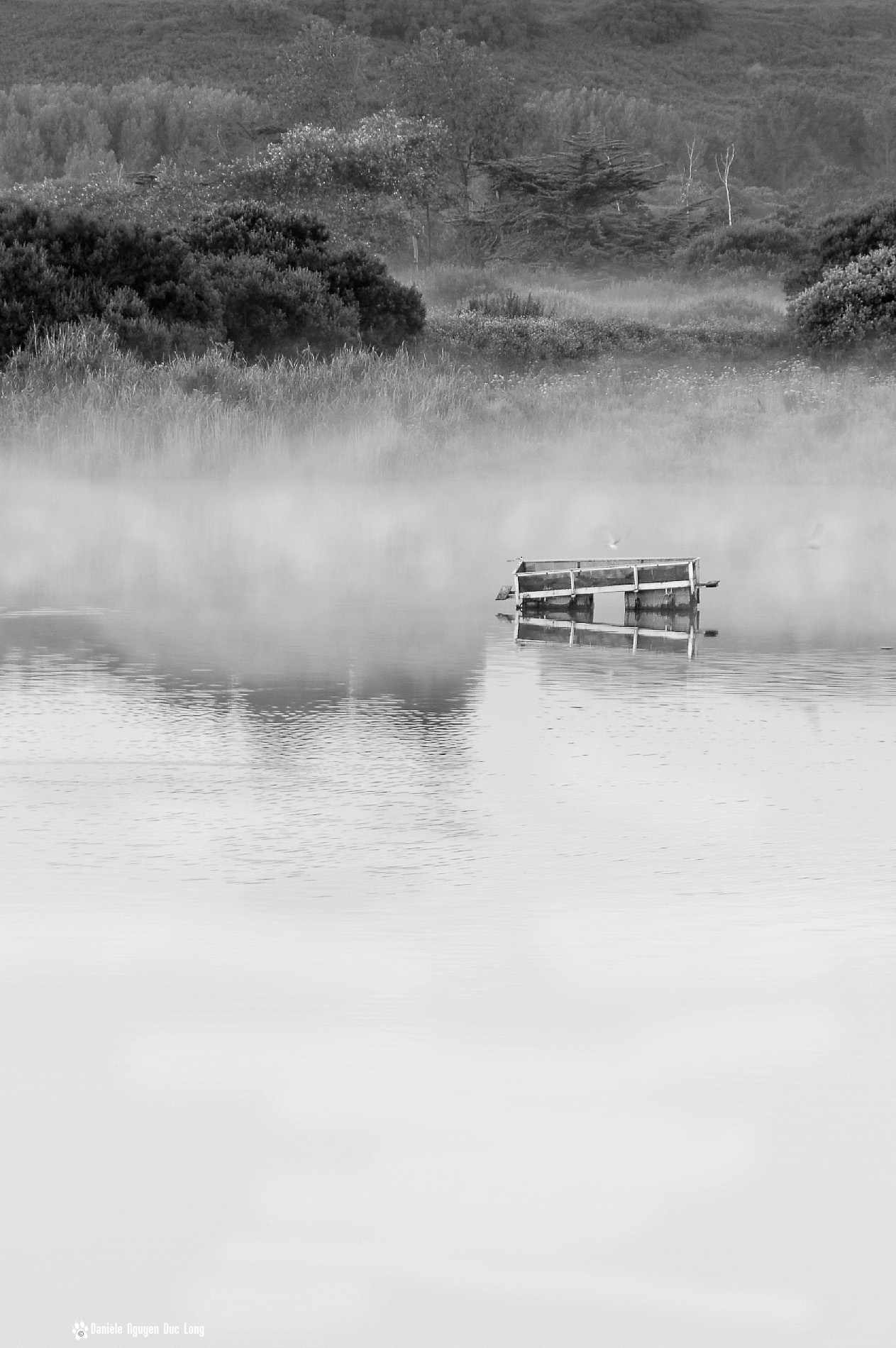 ponton dan sla brume N&B Curnic