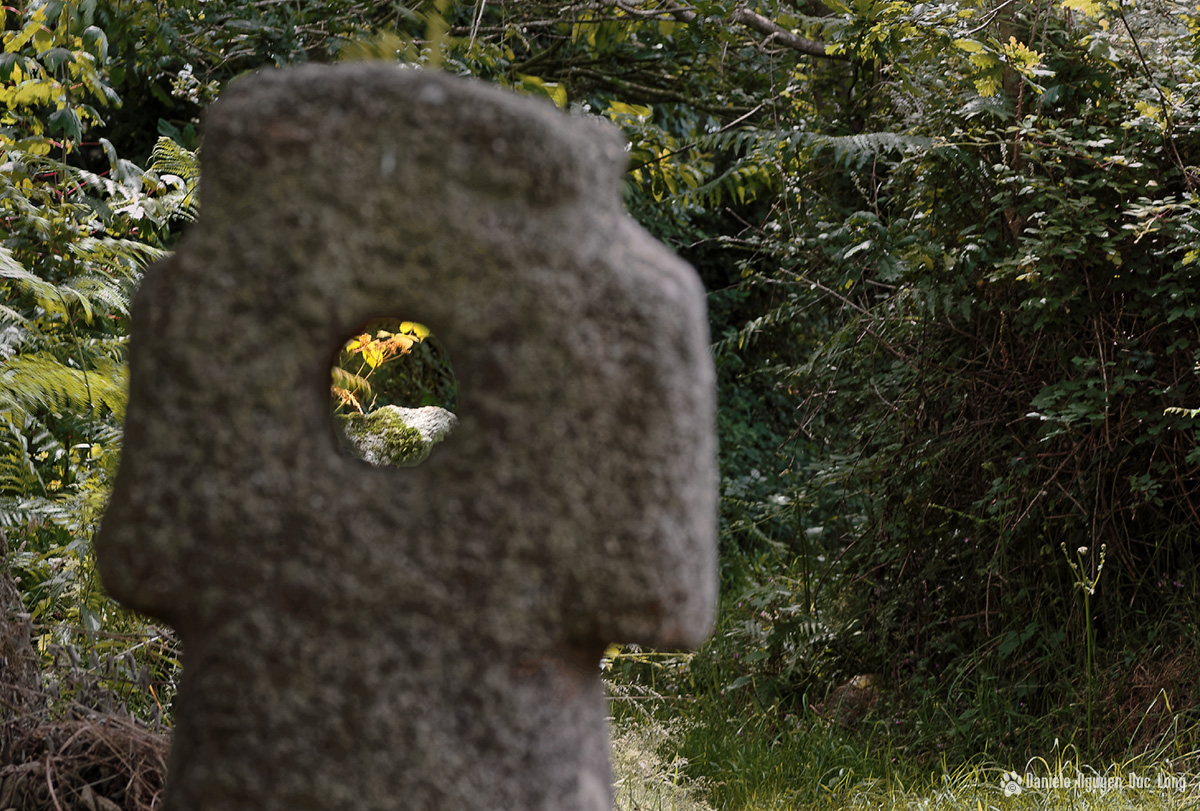 prémices d'automne à Croas Toull, Guissény, finistère, bretagne