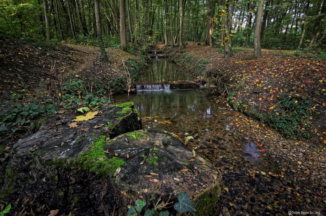 balade matinale aux Templiers, pose longue sur le Rouillon depuis le haut de la berge vers la souche d'arbre