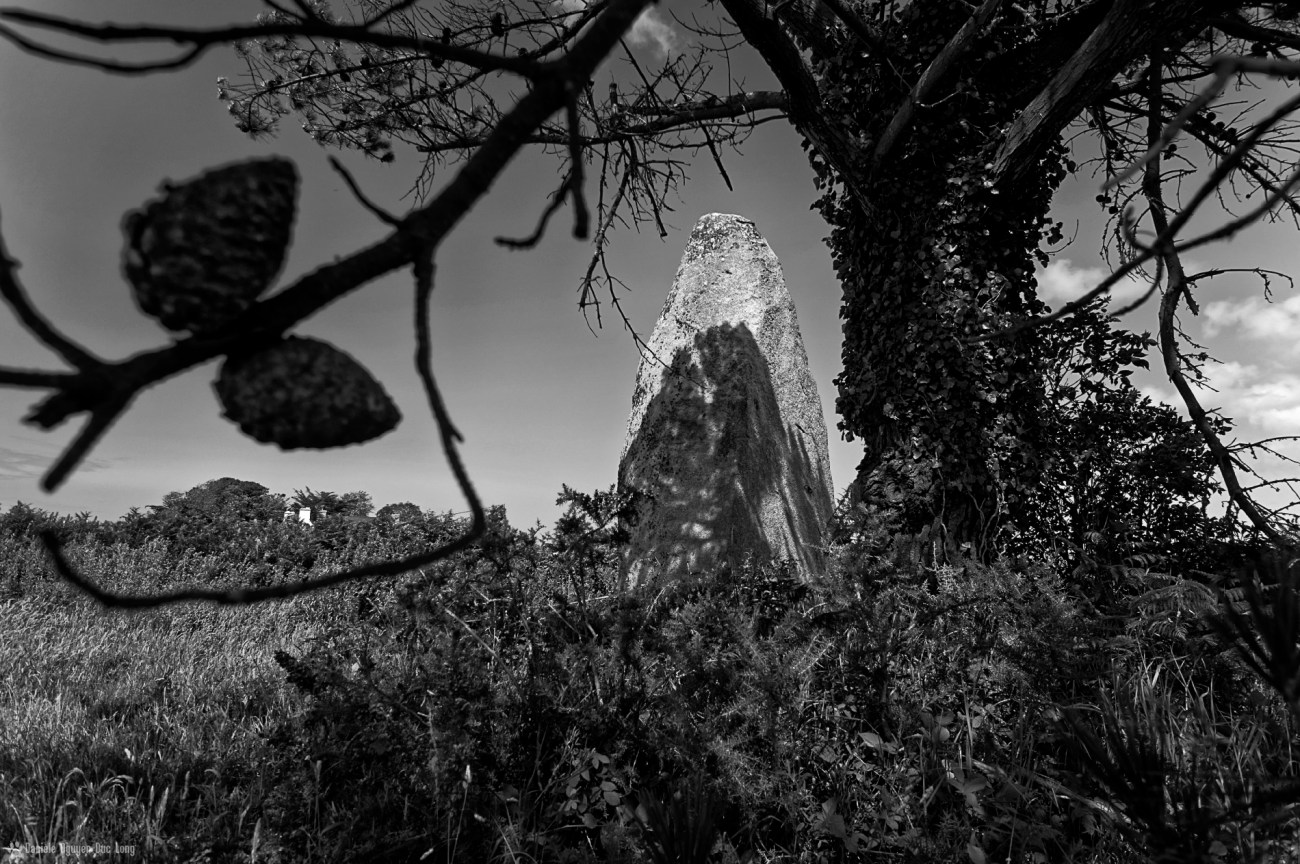 menhir de Ménoignon 01, Plounéour Trez, finistère, bretagne,