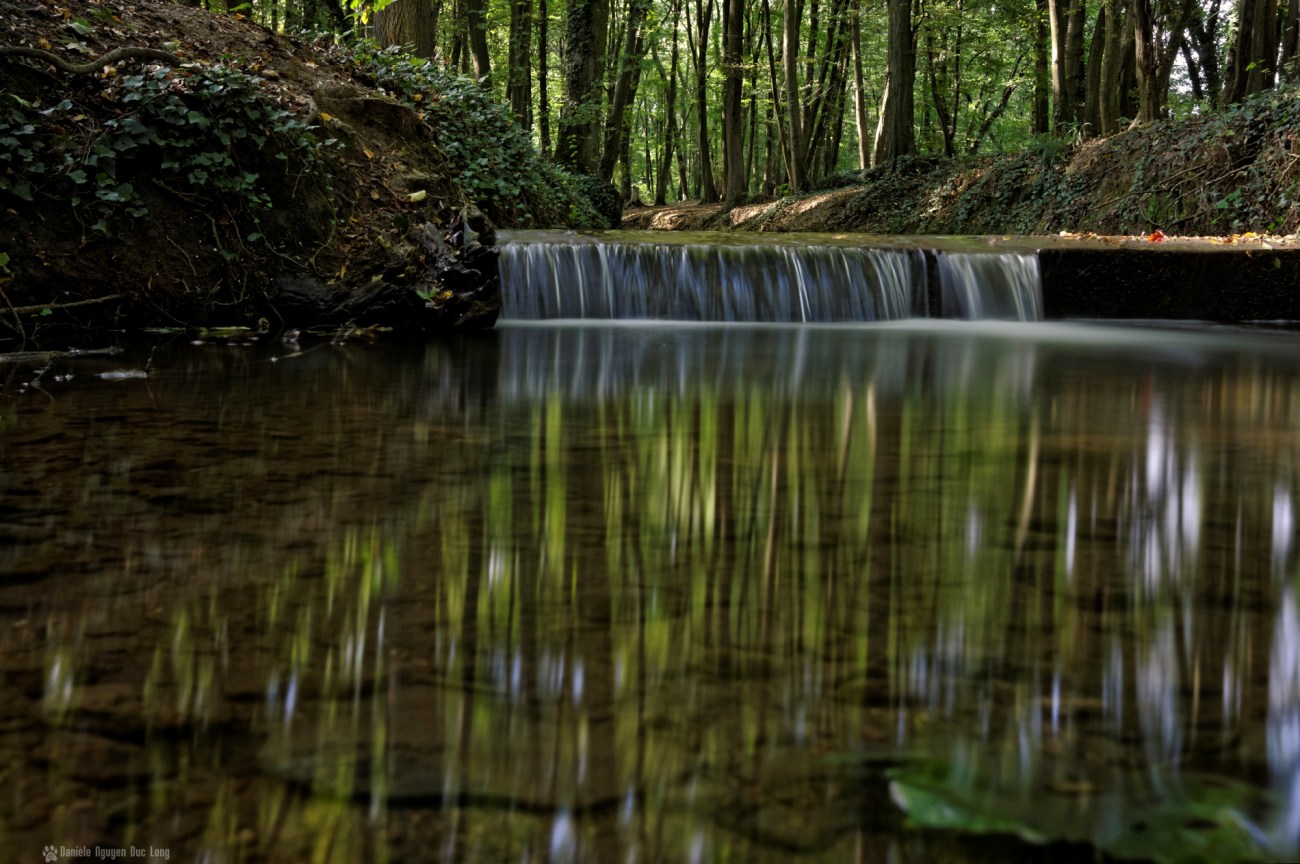 pose longue au Rouillon bois des templiers 01