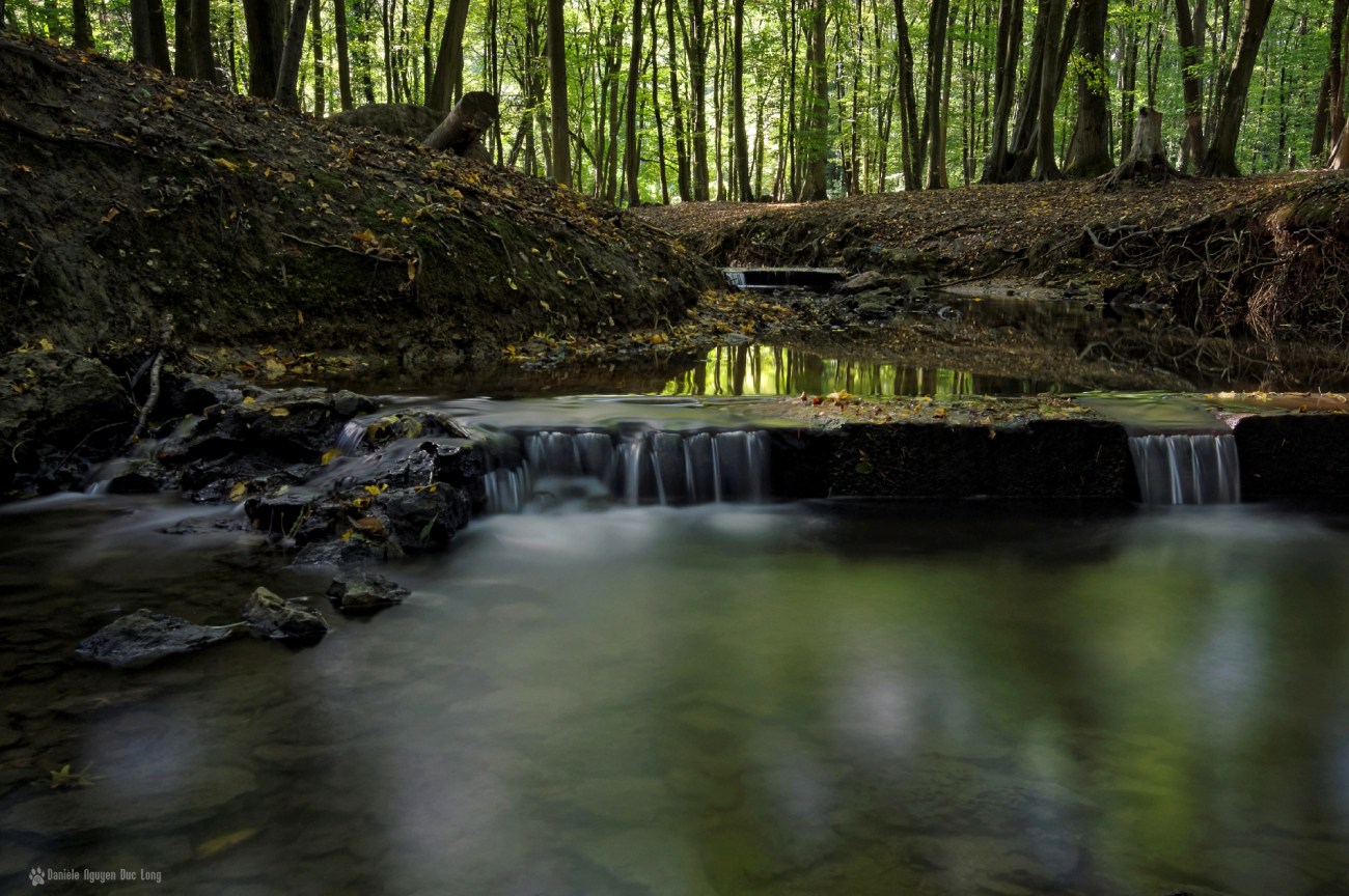 pose longue au Rouillon bois des templiers 2