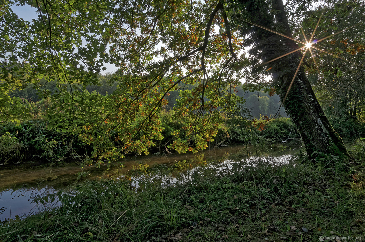 soleil étoile et ruisseau couleurs d'automne bois soleil étoile et ruisseau couleurs d'automne bois