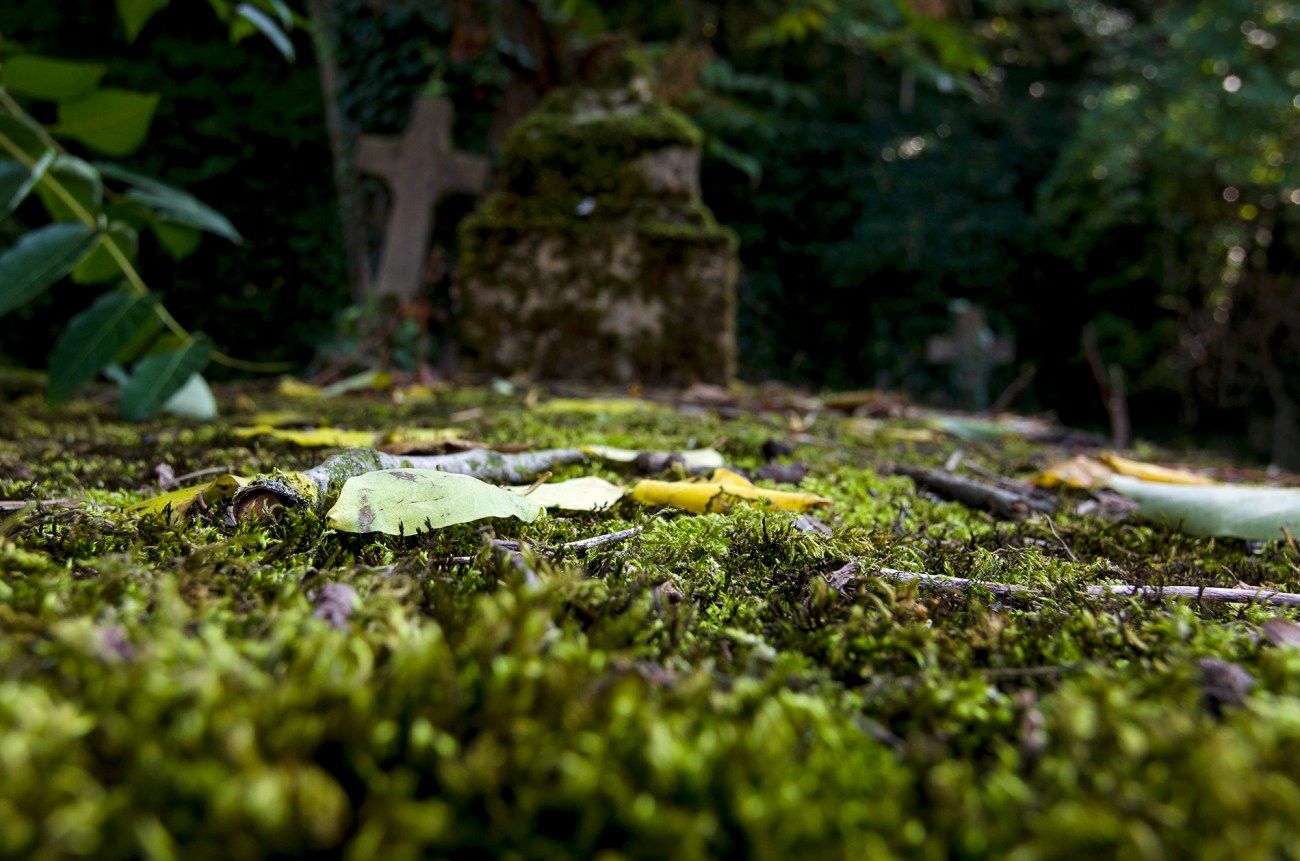 tombe abandonnée cimetiière, urbex, Toussaint, 