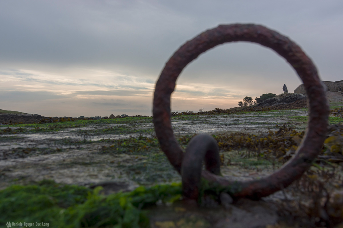 anneau ile vierge copie