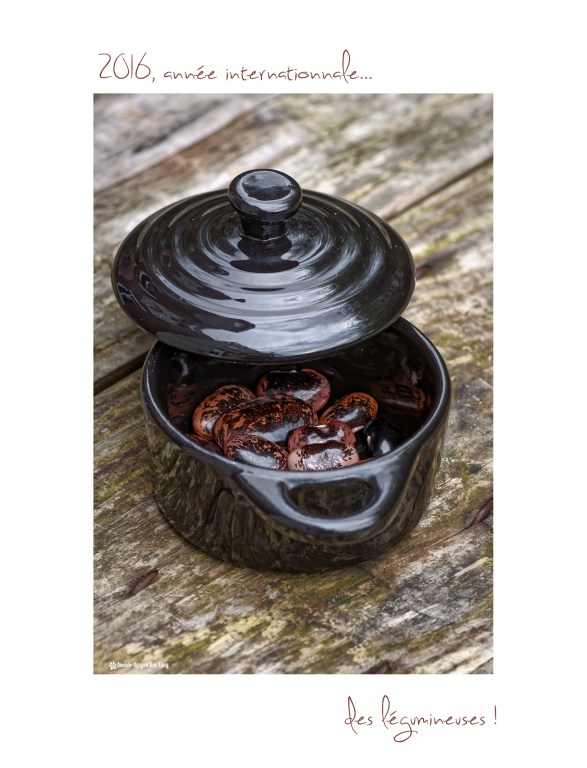 2016 année des légumineuses 01