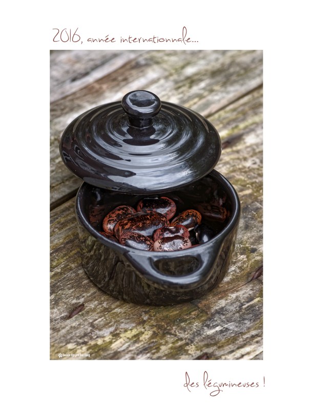 2016 année des légumineuses 01