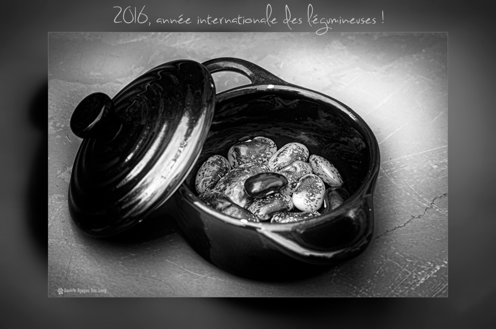 Processed by: Helicon Filter;