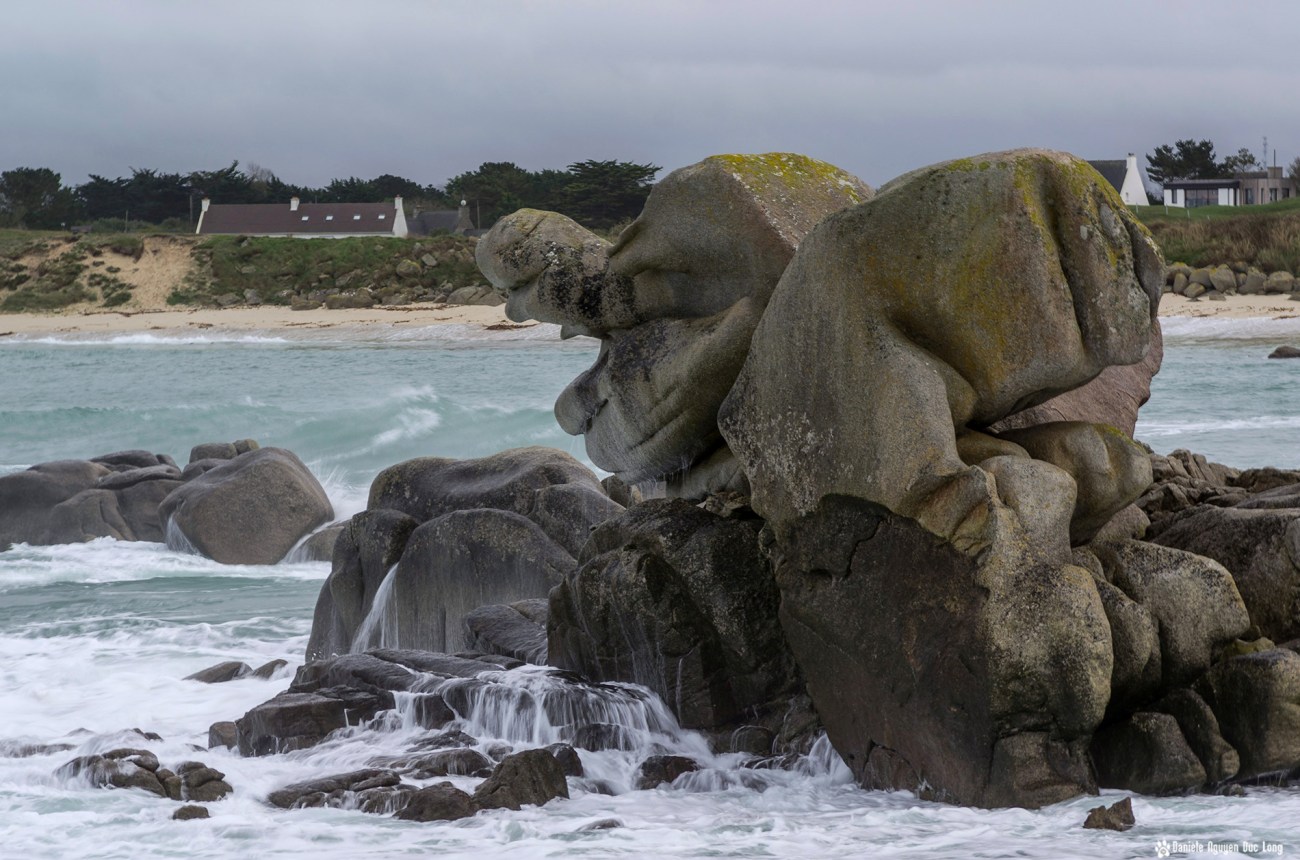 fin du splach vagues sur la tortue des Amiets copie
