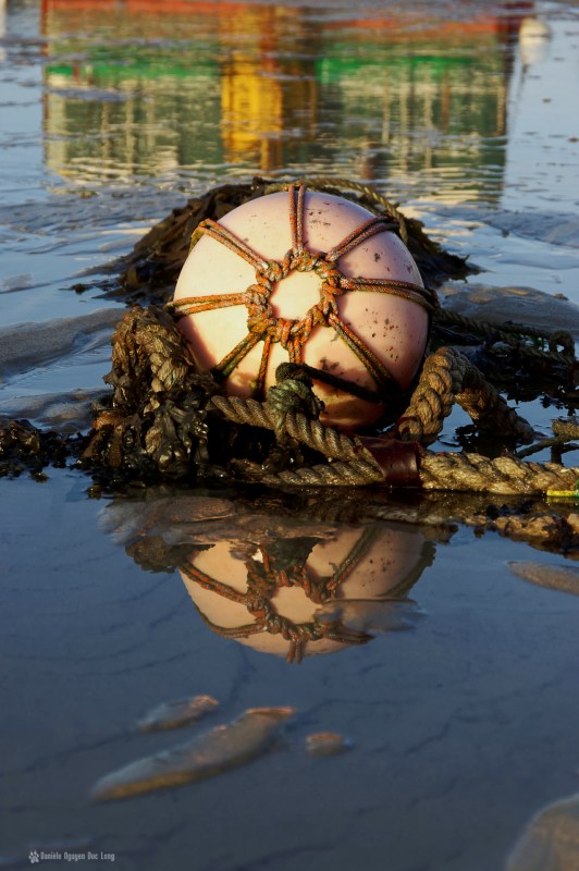 bouée au filet korejou, bouée d'amarrage, port de Korejou, Plouguerneau, Bretagne, Finistère
