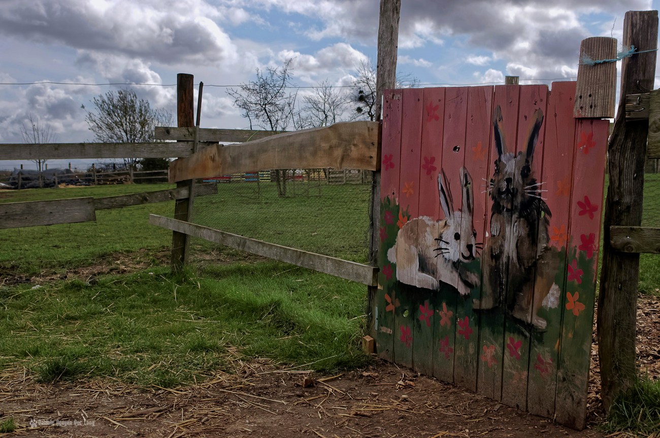 enclos lapins ferme du p'tit brinde paille