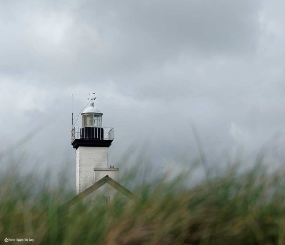 phare de Pontusval derrière les oyats hivers 2015