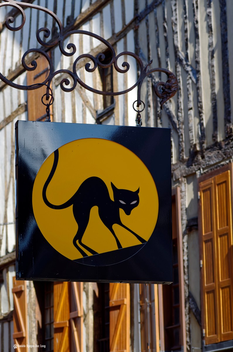 enseigne chat noir 01 Troyes