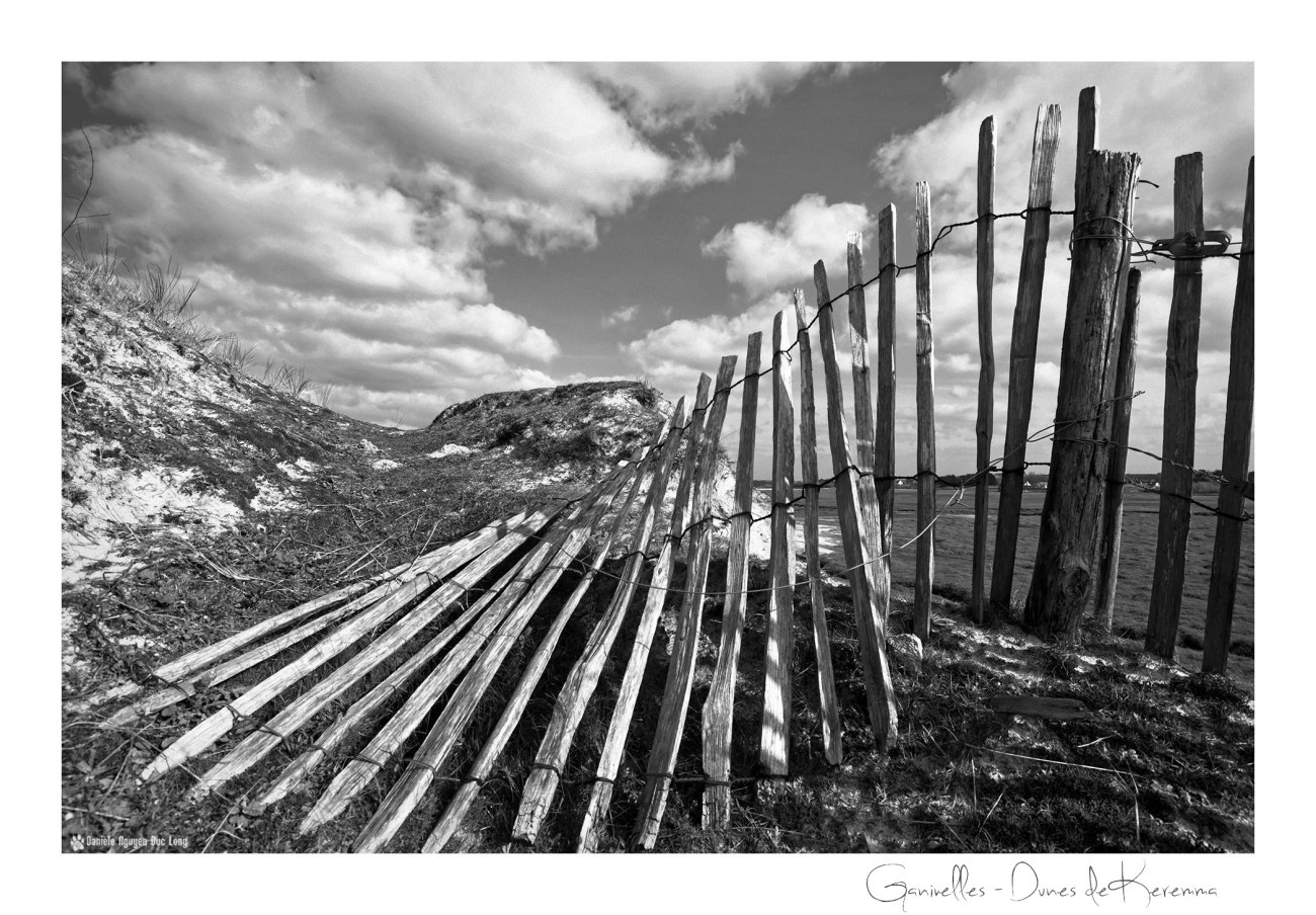 ganivelles dunes de keremma N&B, bretagne, finistère, dunes Keremma