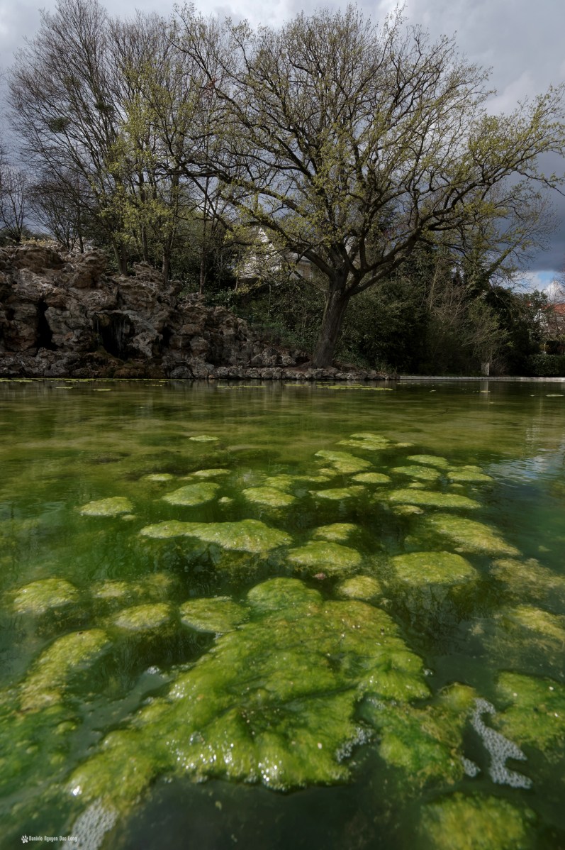 grottes de juvisy mousse du bassin 02