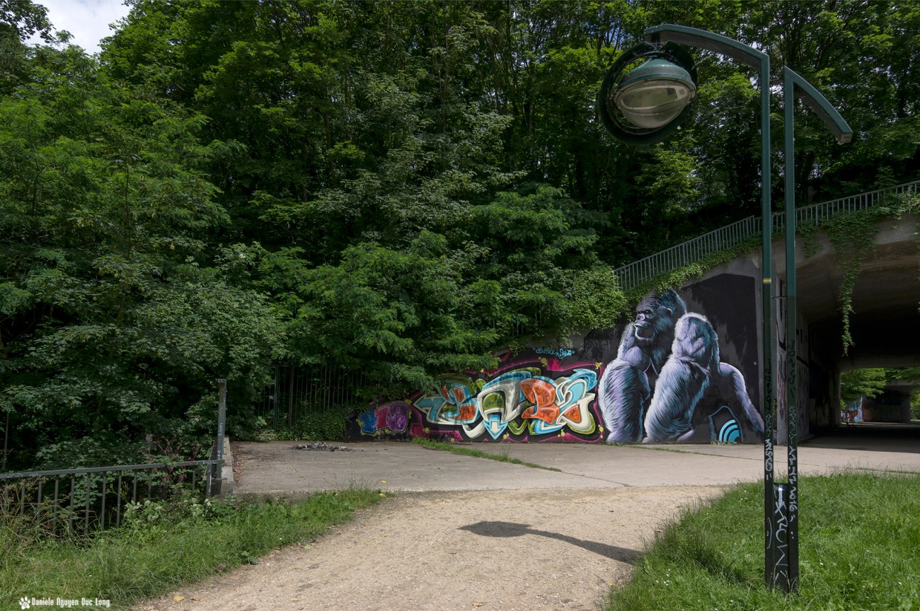 tunnel A10 le gorille, street art, tags, 