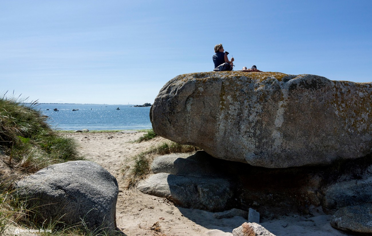 île aux vaches, prendre le soleil et scruter l'horizon, Kerlouan, Bretagne, Finistère