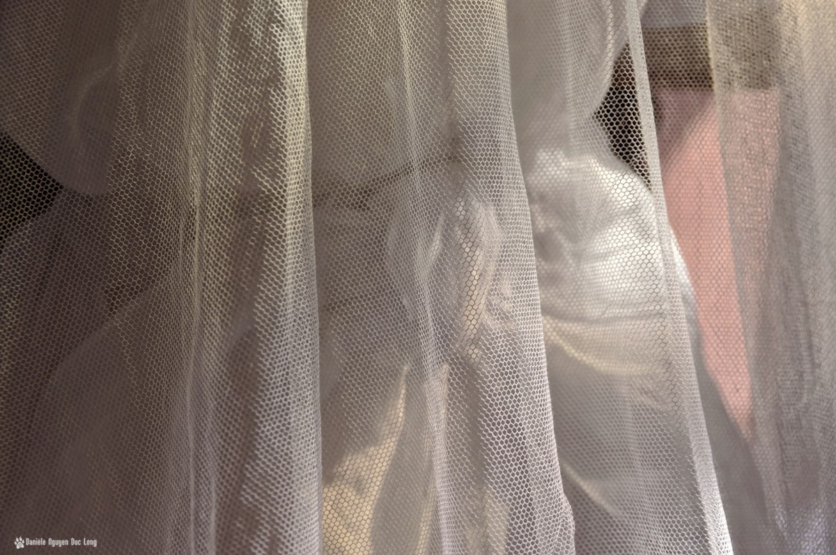 noeud derrière tulle robe communion, Guissény, Finistère, exposition costumes communion solennelle, 