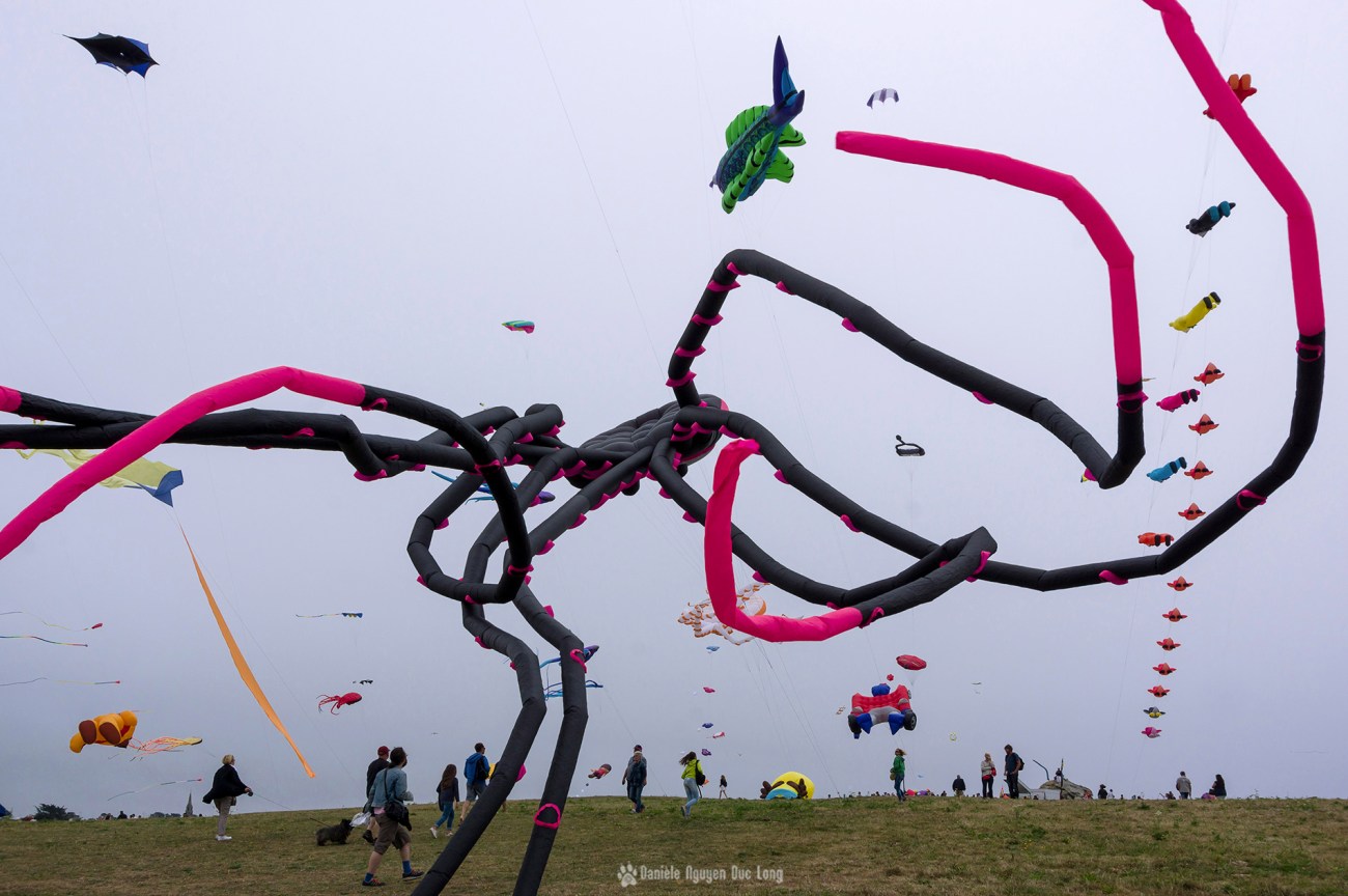 cerf-volant-pieuvre, festival du vent et du cerf-volant à Pospoder, Porspoder, Bretagne, Finistère