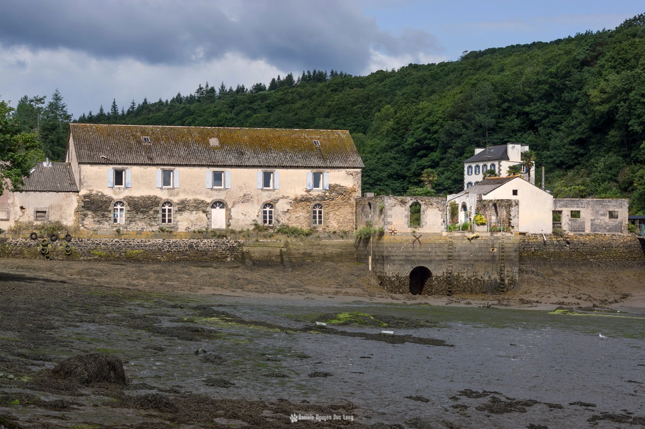 moulin-mer-du-folgoat-maree-basse-plan-rapproche-copie