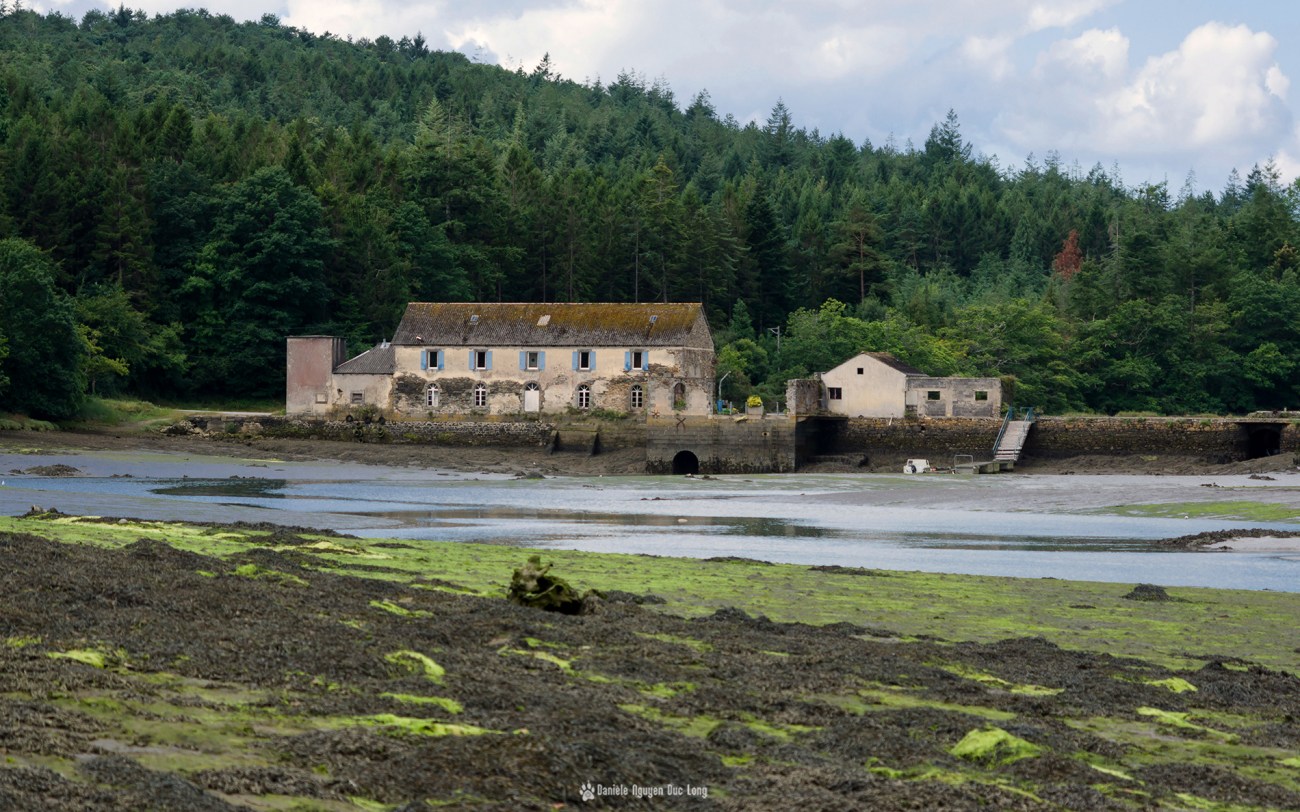 moulin-mer-du-folgoat-mareemontante-depuise-la-cale-copie
