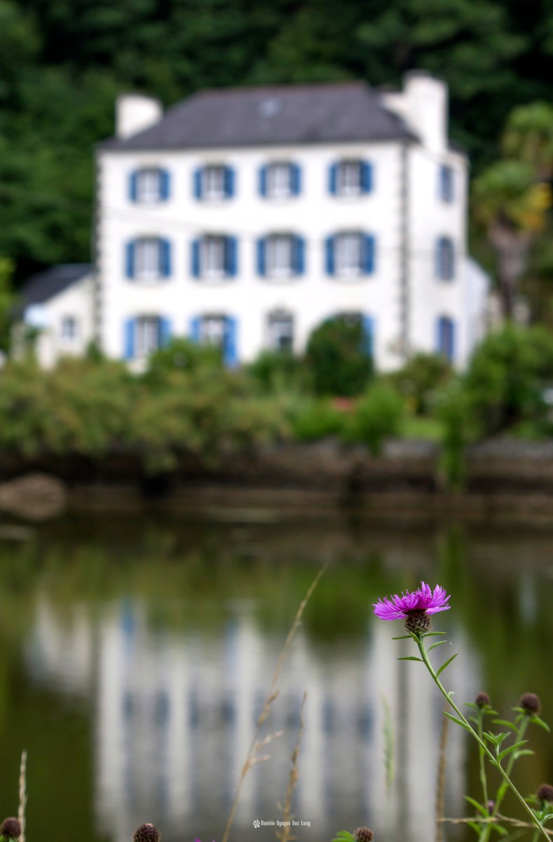oeillet-reflet-moulin-mer-du-folfgoat-maison-de-maitre-copie