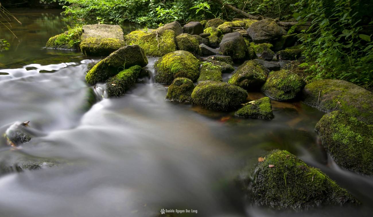 pose-longue-a-labert-benoit-rochers-moussus-copie