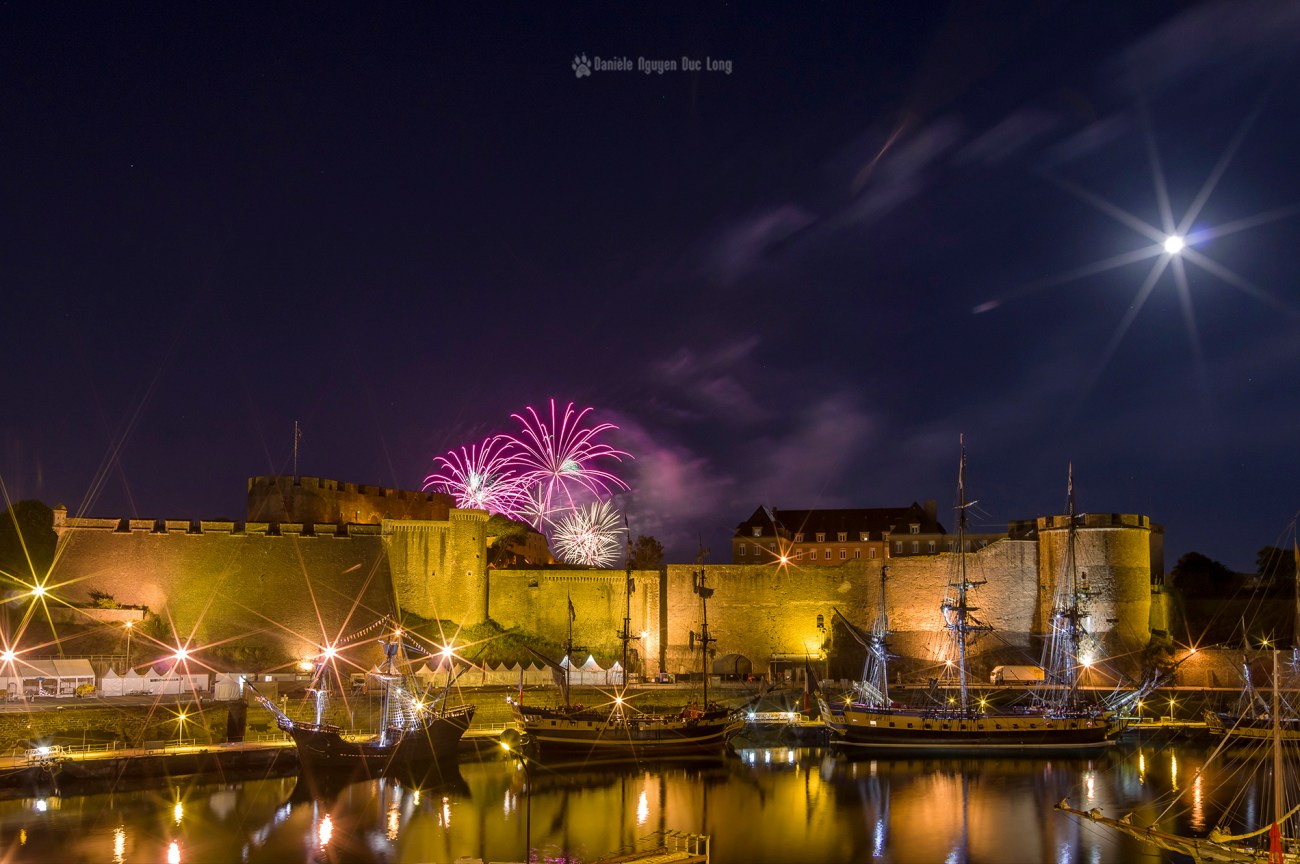 brest-2016-feu-dartifice-fleur-violette-sur-le-chateau-copie