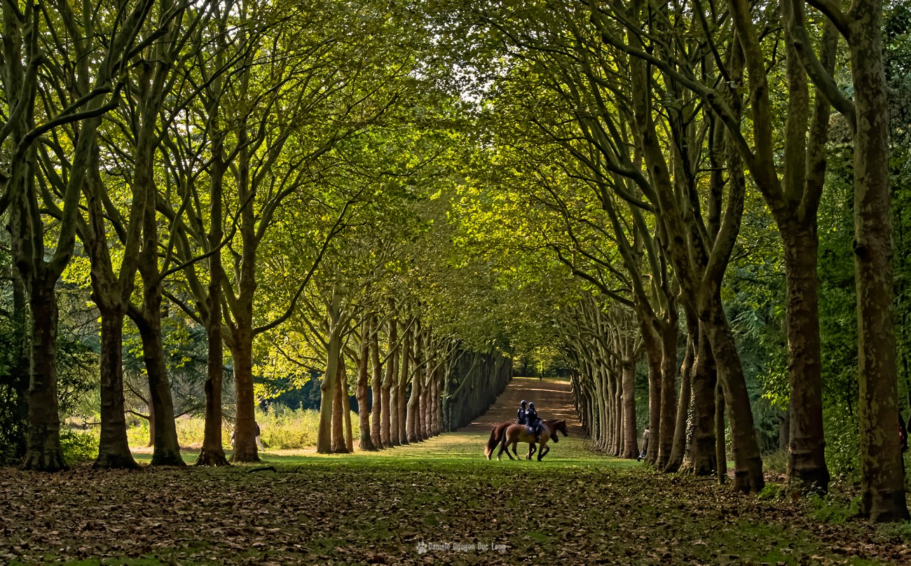 police-montee-au-parc-de-sceaux-, Parc de Sceaux, Anthony, Ile de France