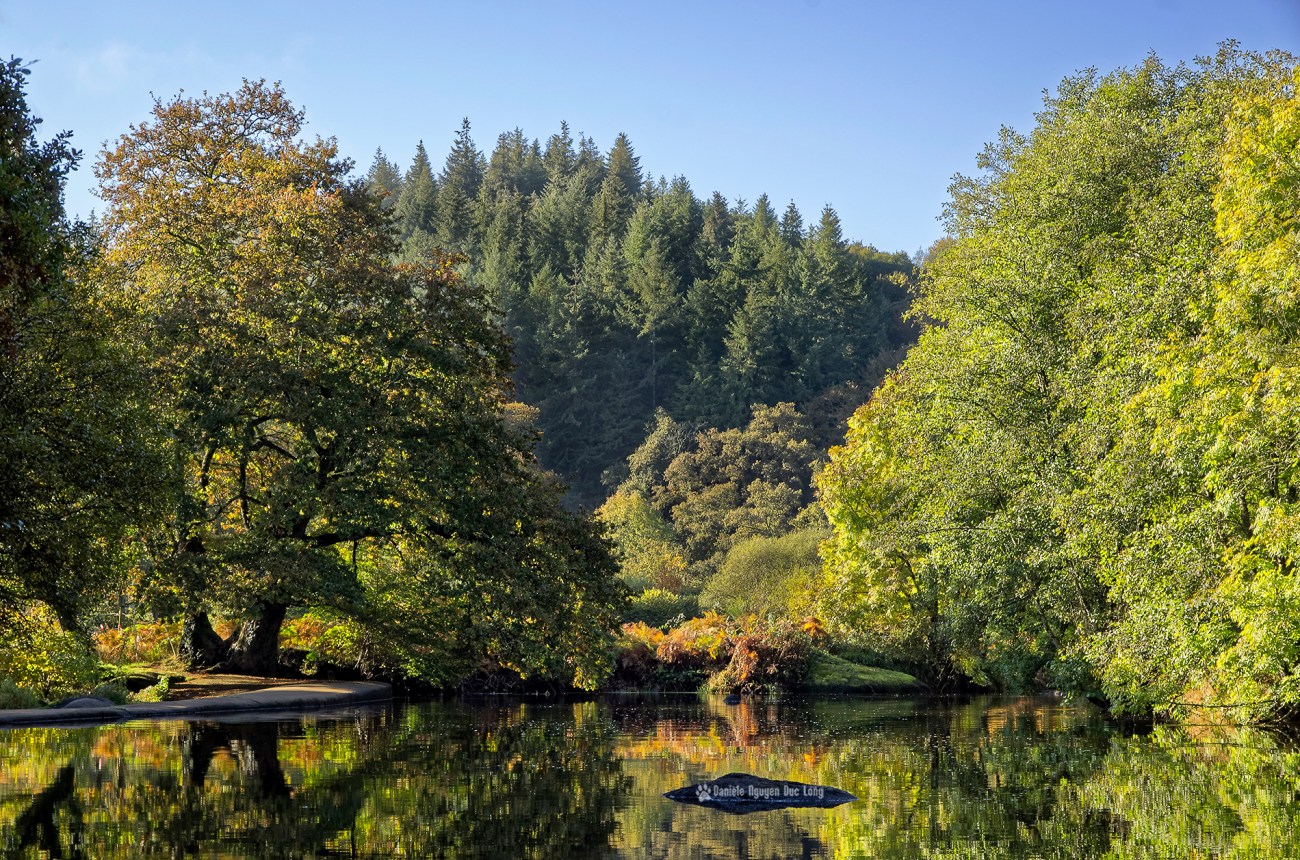 reflets-couleurs-d'automne-roches-du-diable-, Guilligomarch'h, Finistère, Bretagne, L'Ellé, 
