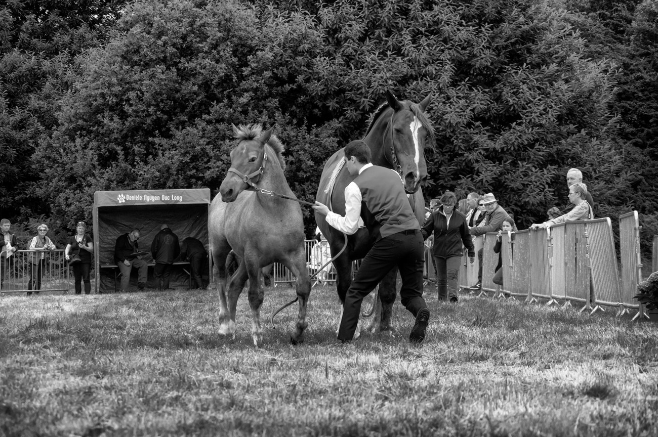 concours-kerjean-005-copie