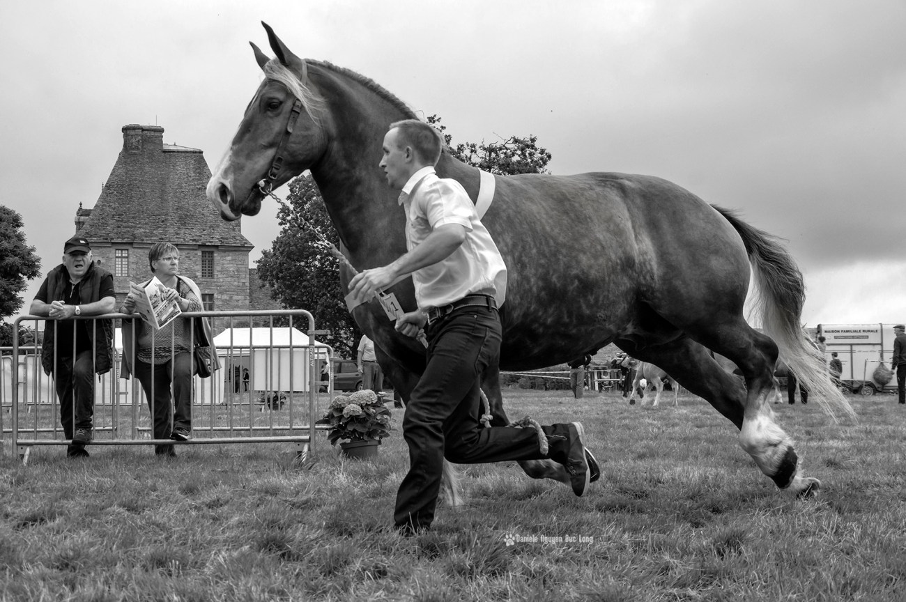 concours-kerjean-009-copie