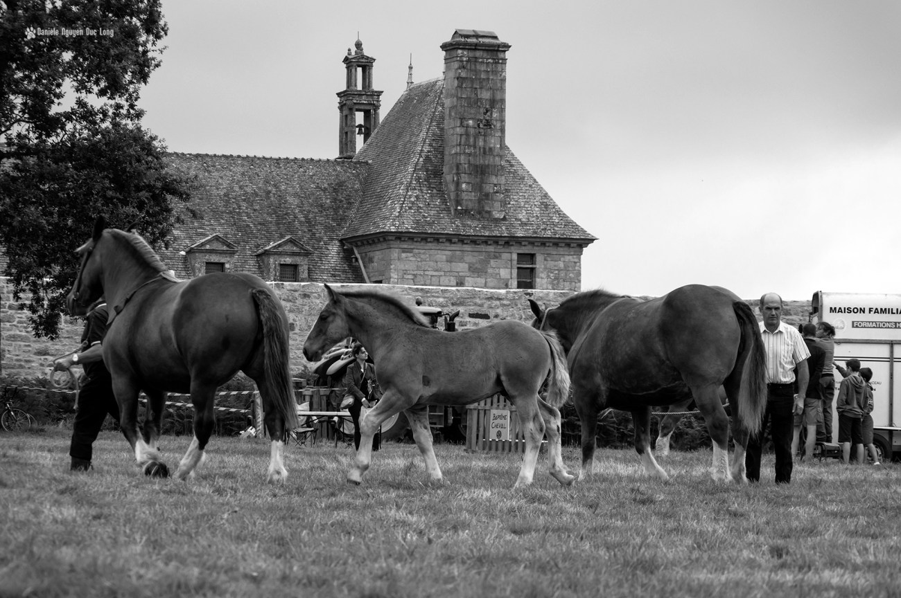 concours-kerjean-010-copie