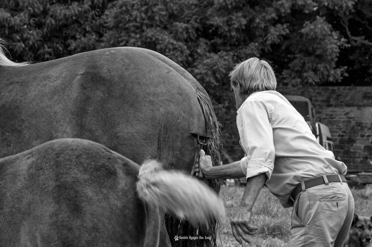 concours-kerjean-020-copie