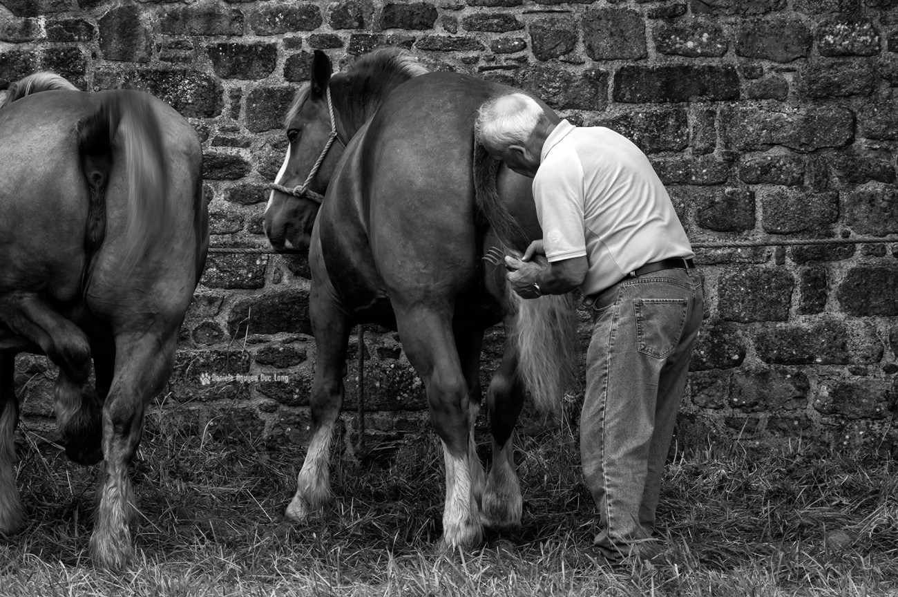 concours-kerjean-021-copie
