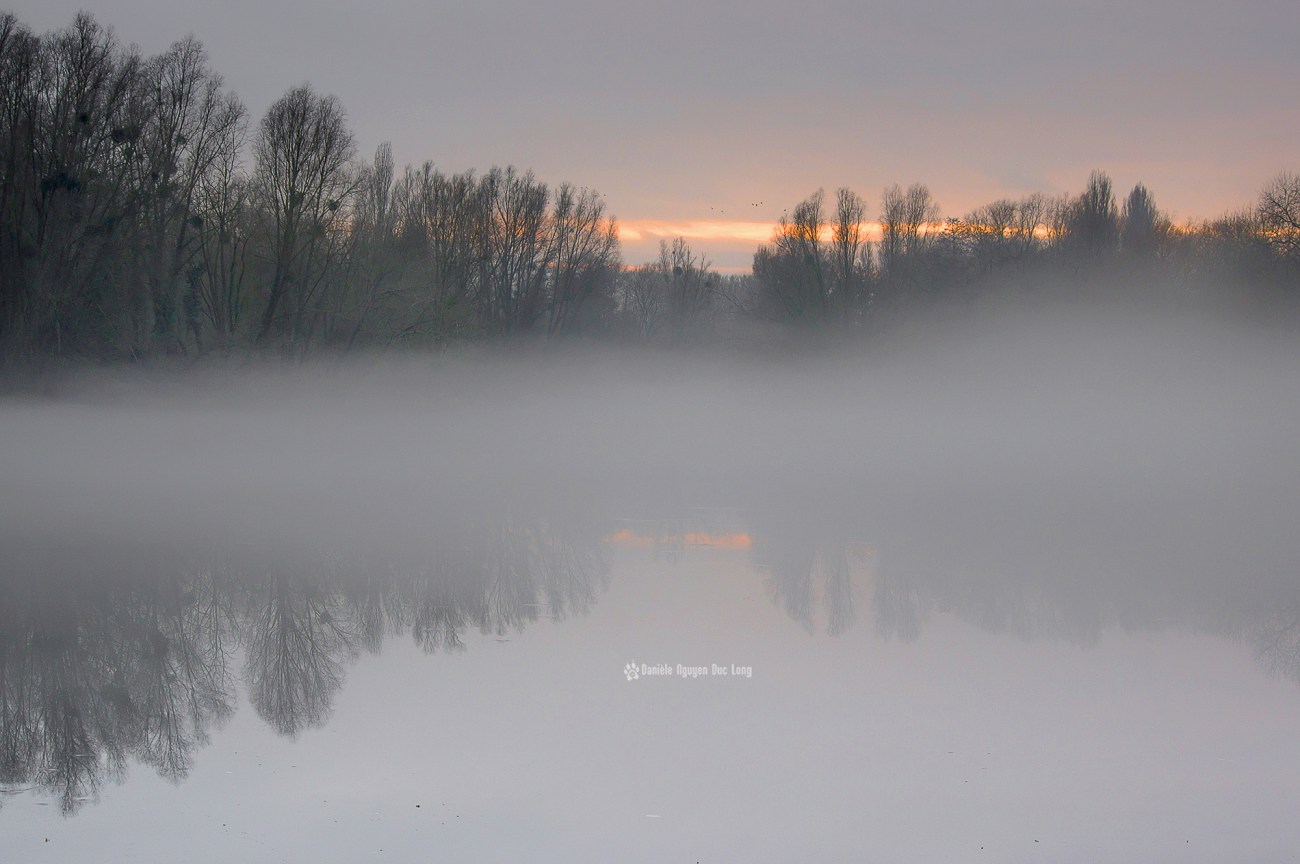 brume-sur-le-lac-01-copie