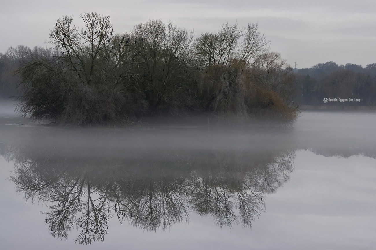 brume-sur-le-lac-02bis-copie