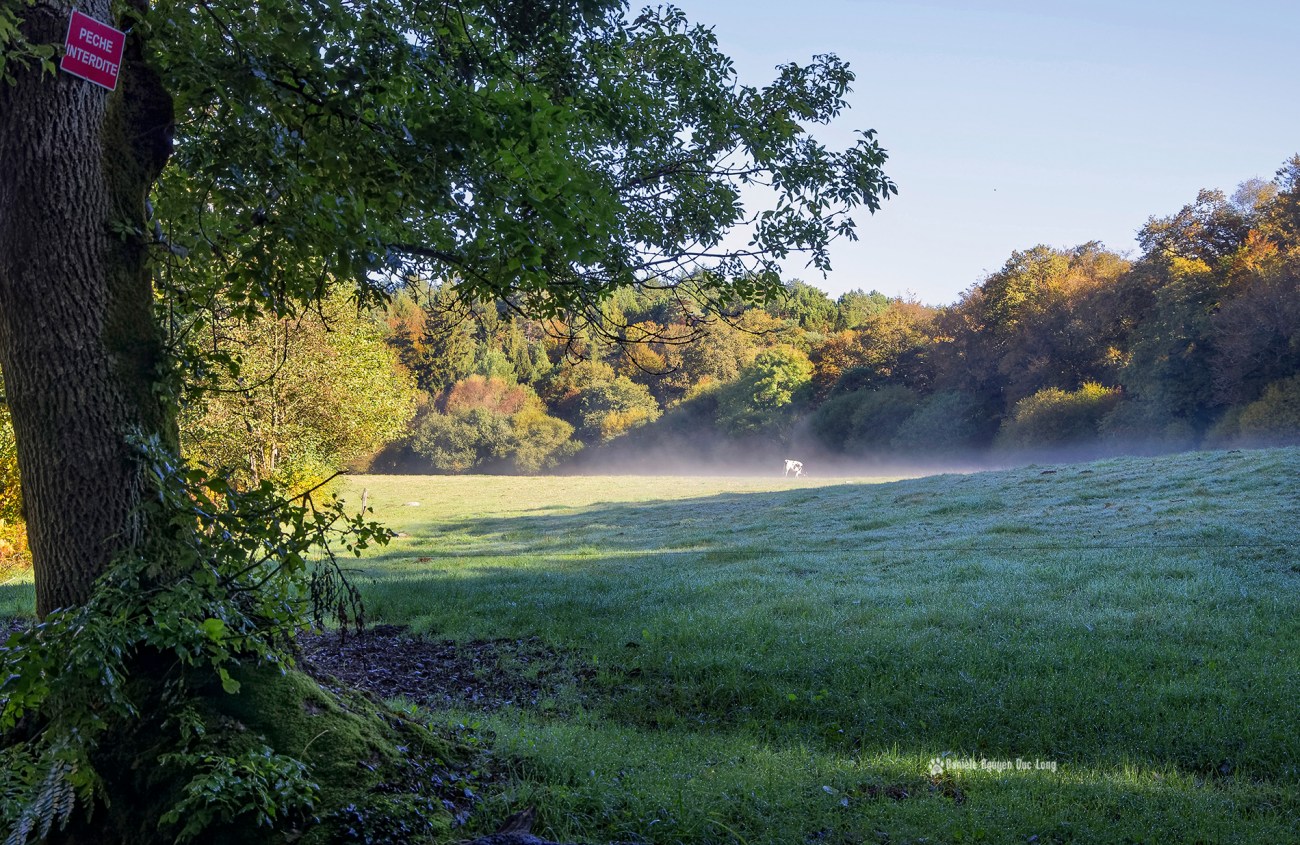 brume-sur-vache-et-couleurs-dautomne-roches-du-diable-copie